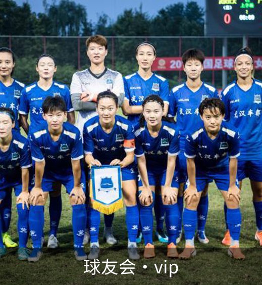 球友会·vip介绍
